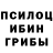 Псилоцибиновые грибы прущие грибы ELMUROD KHOLMATOV