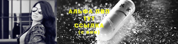 спиды Горняк