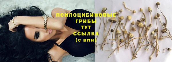 спиды Горняк