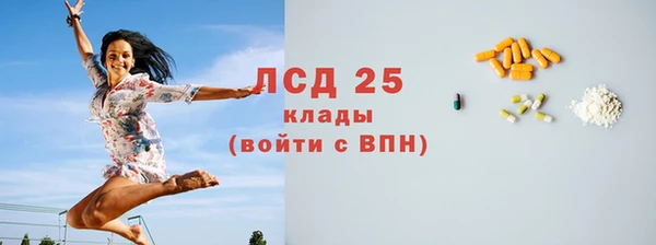 спиды Горняк
