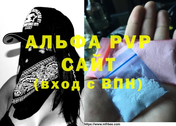 спиды Горняк