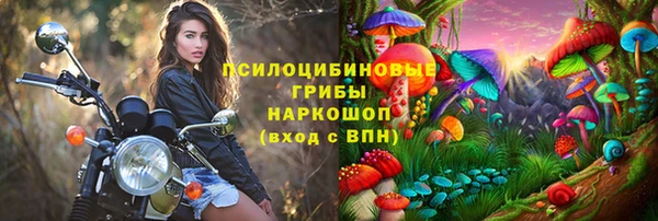 альфа пвп Горно-Алтайск