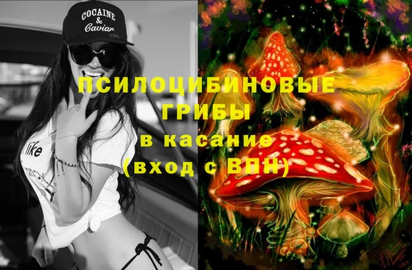 спиды Горняк