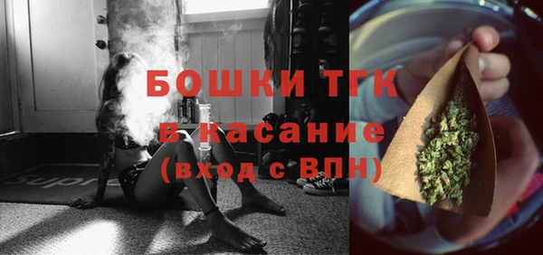 спиды Горняк