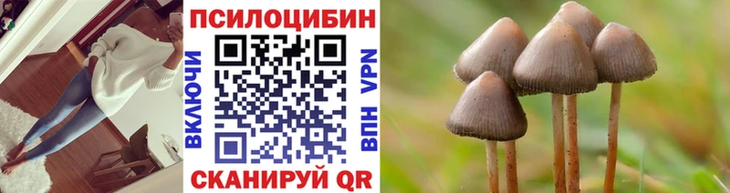 Купить Кемь Галлюциногенные грибы мицелий